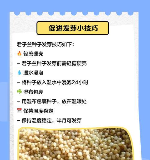 种子发芽的要领（探究种子发芽的关键因素）