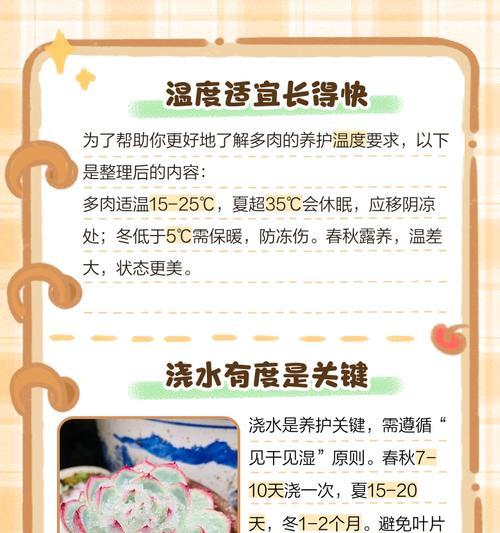 多肉花的养殖方法与注意事项（打造绿意盎然的多肉花园，轻松享受植物之美）