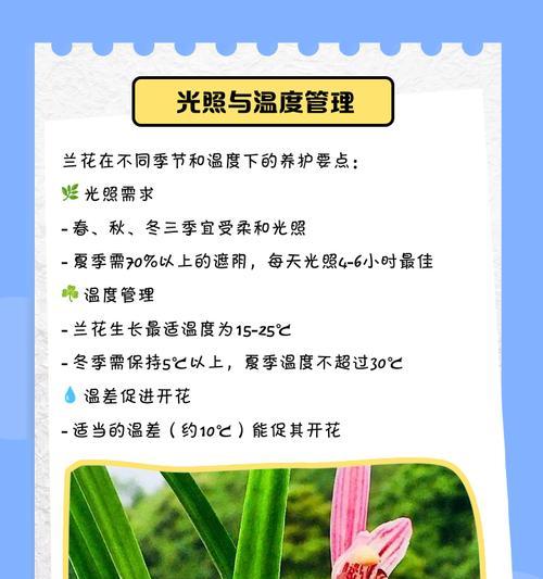盆栽兰花的养殖方法与注意事项（打造美丽室内花园，让盆栽兰花焕发生机）