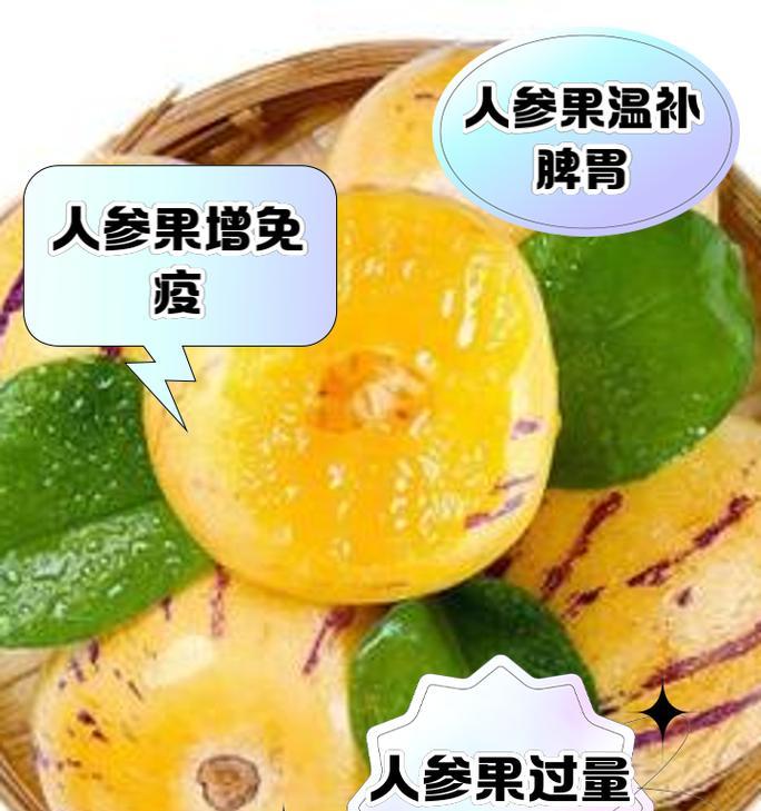 人参果的根系结构（探究人参果根系的形态特征和功能）