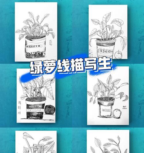 绿萝标签的种植与养护指南（打造室内绿洲，从绿萝标签开始）