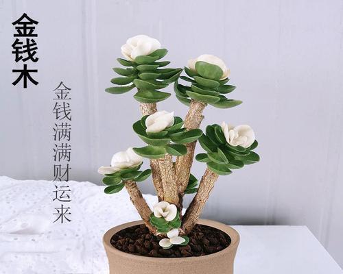 金钱木花谢后的正确处理方式（从金钱主导到价值主导，追求持久发展的关键）