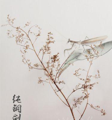 以剑山插花为艺术表达方式的独特魅力（剑山插花艺术）