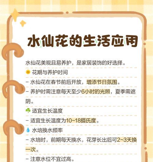 水仙花的花语（探寻水仙花的含义与象征）