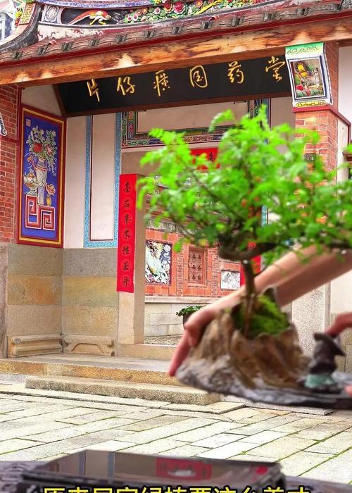 如何处理清香木叶子变黄问题?(探索清香木叶子发黄的原因及解决方法)