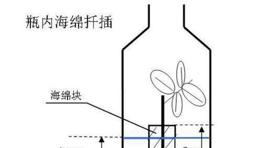 以月季水插繁殖技巧分享（掌握月季水插的关键步骤，成功繁殖健康的花卉）