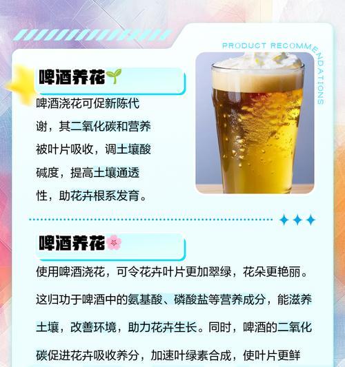 啤酒为君子兰擦叶子的正确使用方法（一瓶啤酒，让君子兰更加健康生长）
