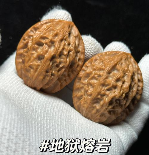 全国著名核桃品种排名（探究最受欢迎的核桃品种及其特点）