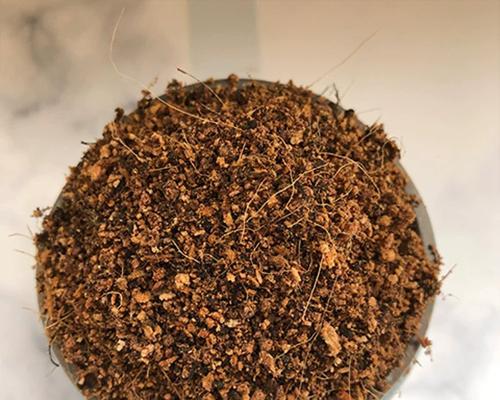 盆栽技巧（通过调整土壤PH值，让植物健康生长）