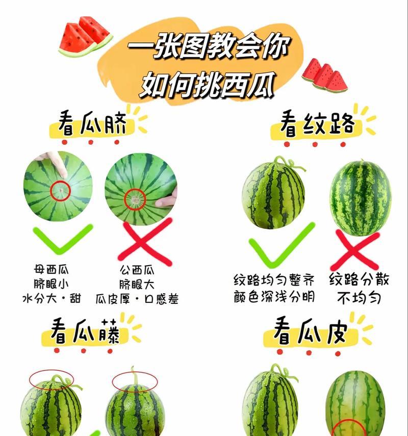 哈密瓜成熟度怎么判断（从外观到味道一一分析）
