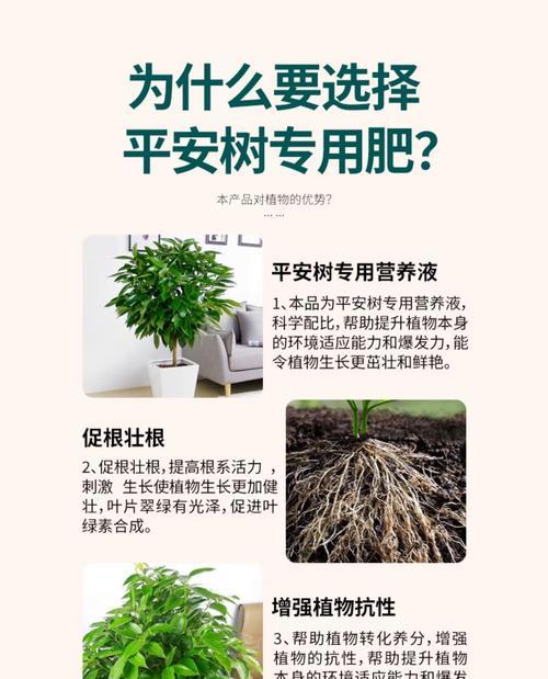 冬季落叶安全之道（保护树木免受冬季落叶伤害的实用方法）