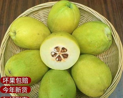 木瓜能否生吃？（了解木瓜的营养价值和生食安全问题）