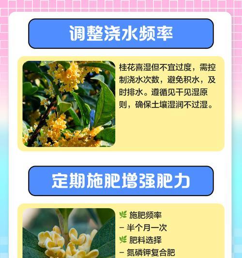秋天花儿叶子发黄的原因及处理方法（秋天养花的注意事项和护理技巧）