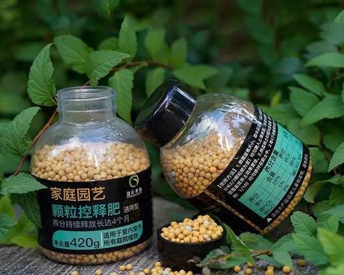 茶梅肥施多了该怎么办？（解决茶梅肥施过量问题的方法与建议）