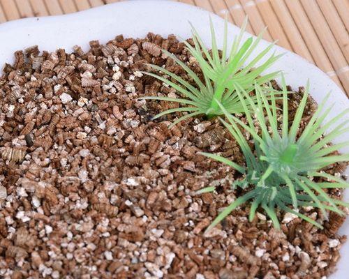 蛭石保水性探究（蛭石在植物保水中的应用及机制研究）
