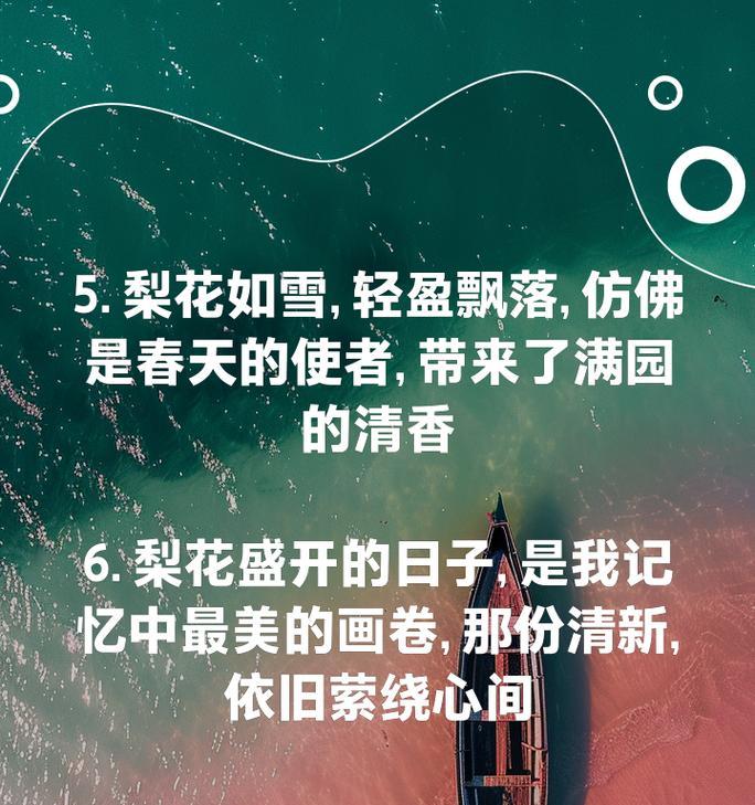 梨花之美(探究梨花的外貌和独特特点,感受其娇柔、清雅和淡然)