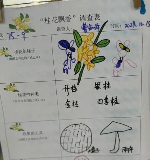 桂花之美（传承千年的花香，桂花的故事与魅力）