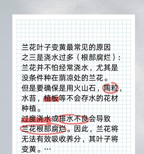 兰花叶子从根部发黄的原因及治疗方法（探索兰花叶子发黄的问题，帮助您解决养花难题）