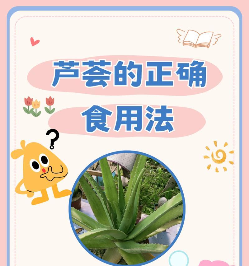 如何让芦荟安全度过寒冬？（冬季芦荟保养攻略）