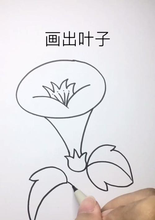 喇叭花的养殖方法（从种植到开花全攻略）
