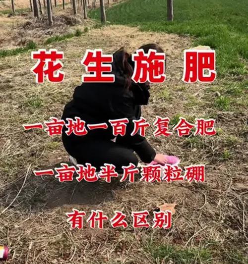 花生肥料的选择和使用（健康花生的关键在于科学施肥）